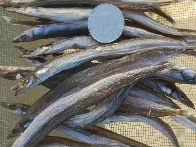 厂家直供沙里钻鱼干 海鲜干货批发 大量鱼干品种齐全 价格实惠图2