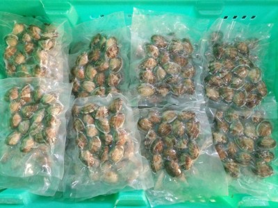 真空杂色蛤 冻煮工艺 开袋即食 花蛤 花甲 花甲粉 辣炒图2