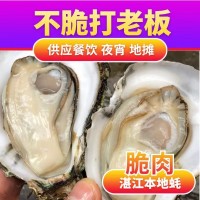 夜市摆地摊湛江生蚝鲜活烧烤店整箱商用产地批发肉大量乳山特大