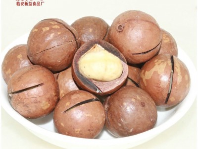 新货大颗粒夏威夷果 休闲零食品年货 特产干果奶油味250g/罐批发图5