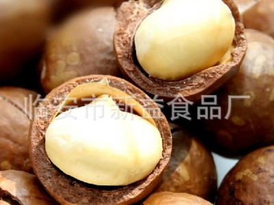新货大颗粒夏威夷果 休闲零食品年货 特产干果奶油味250g/罐批发图4