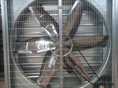厂家定制牛舍风机畜牧养殖通风机 温室散热换气机 不锈钢轴流风机图3