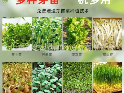 庆华花生芽设备全自动水培花生芽机 提供花生芽培育技术芽苗机图3