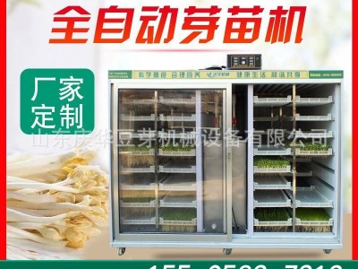庆华花生芽设备全自动水培花生芽机 提供花生芽培育技术芽苗机图2
