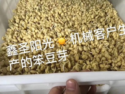 全自动豆芽机 豆芽发芽机大型豆芽机厂家多功能豆芽机 种子发芽机图3
