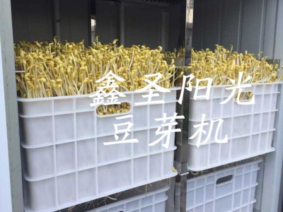 全自动豆芽机 豆芽发芽机大型豆芽机厂家多功能豆芽机 种子发芽机图2