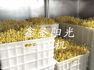 全自动豆芽机 商用黄豆芽绿豆芽箱式豆芽机 豆芽发芽设备图3