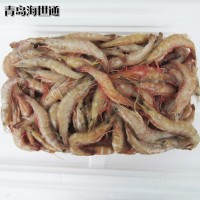 供应海捕虾麻虾白虾