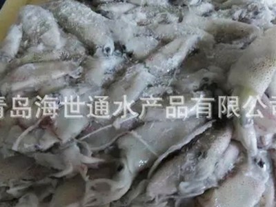批发供应 北部湾小鱿鱼 小鱿鱼 笔管鱼 海鲜冻品批发 6/9图3
