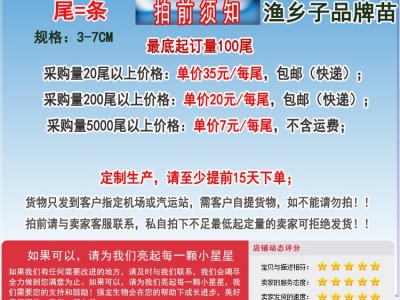 石斑鱼 石斑鱼苗 珍珠龙胆鱼苗青斑苗龙趸鱼苗 海水鱼苗 老鼠斑苗图2