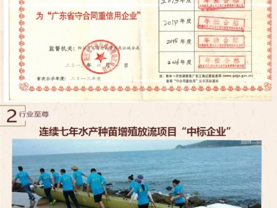石斑鱼 石斑鱼苗 珍珠龙胆鱼苗青斑苗龙趸鱼苗 海水鱼苗 老鼠斑苗图5