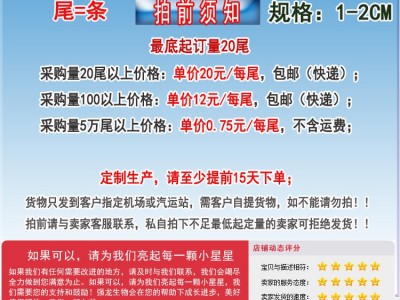 金钱鱼苗 金鼓鱼苗 海水孵化名贵鱼苗 食用景观鱼 鱼苗孵化苗稳定图2