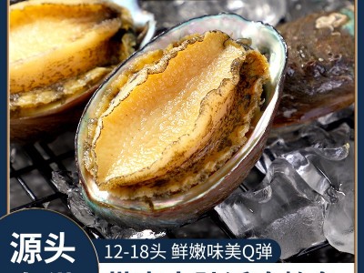 带壳去肚小鲍鱼 源丰速冻鲍鱼现货18头真空鲍鱼食材 大量现货图2