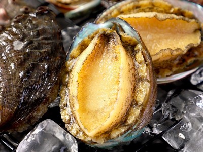 带壳去肚小鲍鱼 源丰速冻鲍鱼现货18头真空鲍鱼食材 大量现货图4