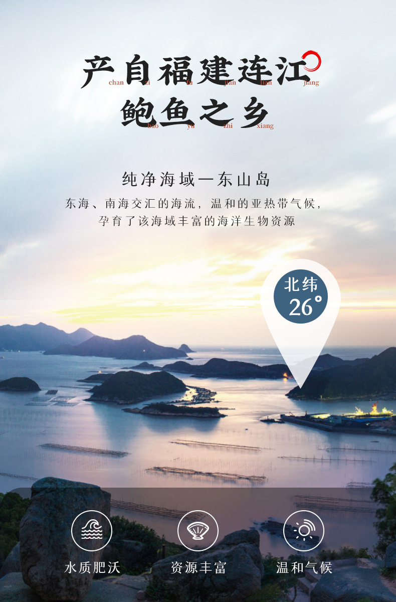 带壳带肚-小鲍_01