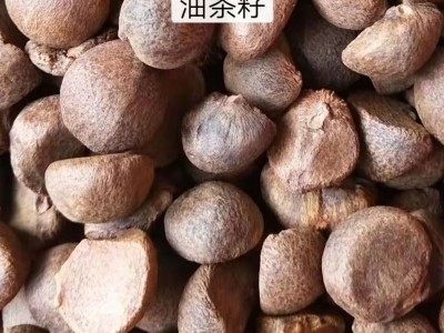 特产地茶籽批发江西高山茶油压榨油茶籽油食用油野生油茶籽晒干籽图5