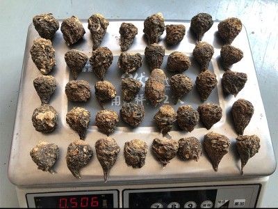 云南丽江 玛卡 产地源头 泡酒料 玛咖原料 干果 散装批发 黑玛咖图5