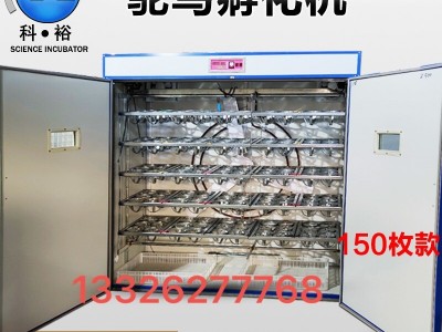 科裕180枚鸵鸟全自动孵化机鸸鹋孵化器家用卵化器四川鸵鸟孵化机图3