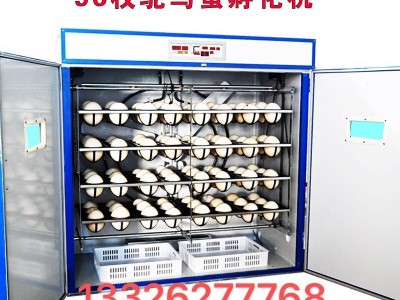 科裕180枚鸵鸟全自动孵化机鸸鹋孵化器家用卵化器四川鸵鸟孵化机图4