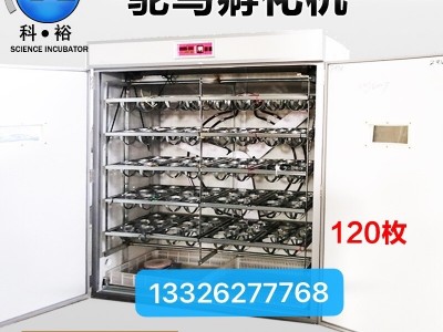 科裕180枚鸵鸟全自动孵化机鸸鹋孵化器家用卵化器四川鸵鸟孵化机图2