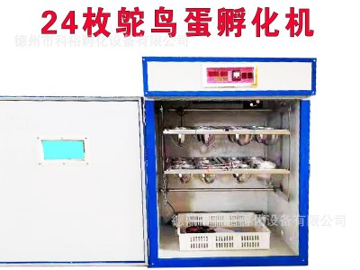 鸵鸟孵化机 全自动智能鸵鸟蛋孵化器 鸸鹋孵化箱家用珍禽卵设备图4