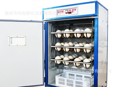 鸵鸟孵化机 全自动智能鸵鸟蛋孵化器 鸸鹋孵化箱家用珍禽卵设备图5
