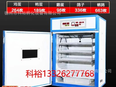 科裕蛇蛋乌龟蛋爬行动物全自动孵化机家用智能蛇卵孵化设备卵化器图3