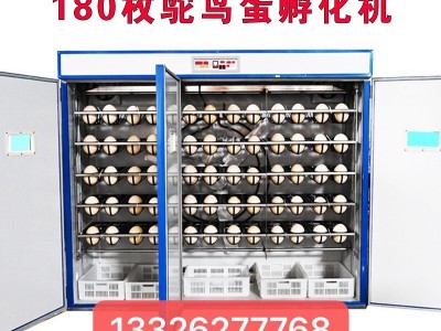 科裕全自动鸵鸟蛋孵化机价格鸸鹋全自动孵化机家用小型珍禽孵化器图2