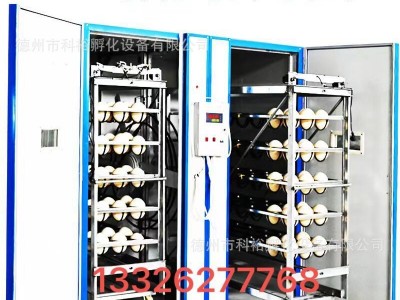 科裕全自动鸵鸟蛋孵化机价格鸸鹋全自动孵化机家用小型珍禽孵化器图5
