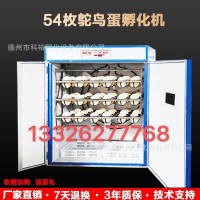 科裕全自动鸵鸟蛋孵化机价格鸸鹋全自动孵化机家用小型珍禽孵化器
