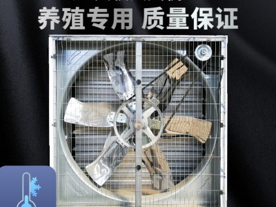 青岛大牧人负压风机 畜牧养殖工厂车间大功率强力降温工业排风机图3