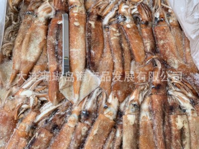 小真鱿 冷冻小鱿鱼 真鱿 鱿鱼 加州小鱿鱼图3
