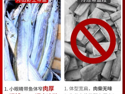 舟山捕捞带鱼10斤装新鲜冷冻带鱼批发水产品刀鱼整条宽带鱼礼盒装图4