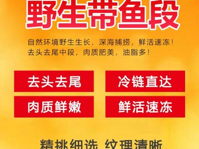 新鲜大段舟山东海小眼带鱼段中段带鱼段大段去头去尾海鲜水产批发图2