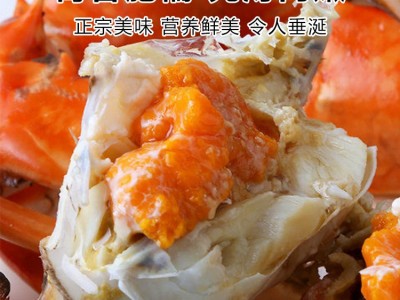 海捕青蟹公蟹母蟹膏蟹红鲟香辣蟹海螃蟹顺丰两斤起批发包邮图2
