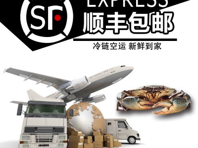 海捕青蟹公蟹母蟹膏蟹红鲟香辣蟹海螃蟹顺丰两斤起批发包邮图5