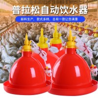 养鸡禽用自动饮水器饮水壶广式普拉松鸡鸭鹅喂水器畜禽养殖鸡喝水