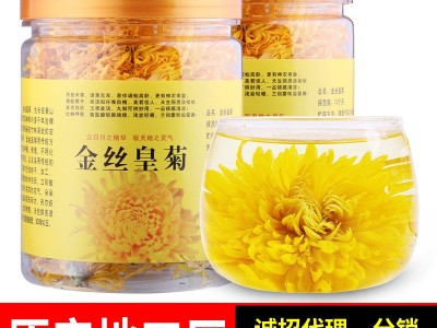 厂家直销 金丝皇菊 一朵一泡 独立装 花草茶 代加工贴牌 现货批发图5