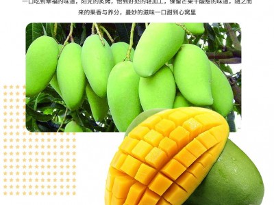 芒果干休闲小吃芒果干味零食皮薄肉厚营养健康芒果片芒果肉图3
