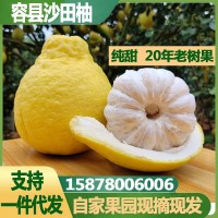 原产地广西柚子容县沙田柚子新鲜水果一件代发基地包邮批发
