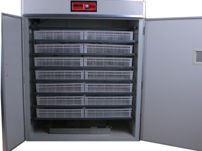 全自动鸡蛋孵化器智能家用孵化机家禽孵蛋器养殖孵化箱鸽子卵化机图5