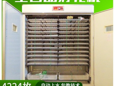 全自动大型孵化机家用鸡蛋孵化器家用孵蛋机鸽蛋孵化设备厂 家卵化图2