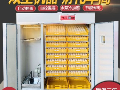 全自动孵化机双室/鸡蛋鸭鹅鸽子孵化器/家用孵蛋箱/鹌鹑孵化设备图2