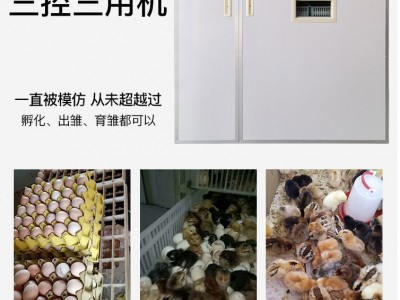 全自动孵化机双室/鸡蛋鸭鹅鸽子孵化器/家用孵蛋箱/鹌鹑孵化设备图3