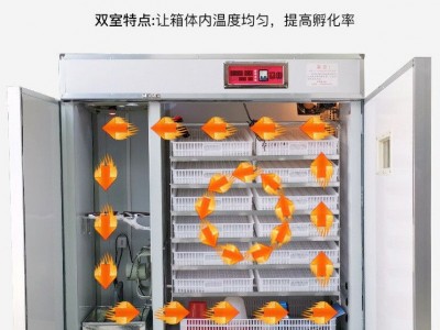 全自动孵化机双室/鸡蛋鸭鹅鸽子孵化器/家用孵蛋箱/鹌鹑孵化设备图5