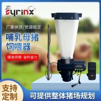 哺乳母猪饲喂器 养猪料线精准饲喂 母猪防应激饲喂器 养猪舍器械