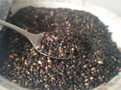 厂家现货黑芝麻黑色五谷粗粮量大价低温烘焙熟五谷图3