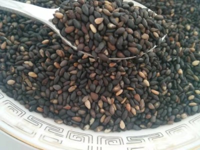 厂家现货黑芝麻黑色五谷粗粮量大价低温烘焙熟五谷图2
