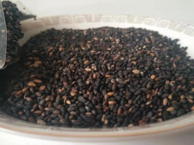 厂家现货黑芝麻黑色五谷粗粮量大价低温烘焙熟五谷图4