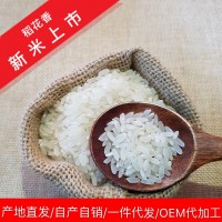 五常大米稻花香2号新米粳米东北大米批发一件代发